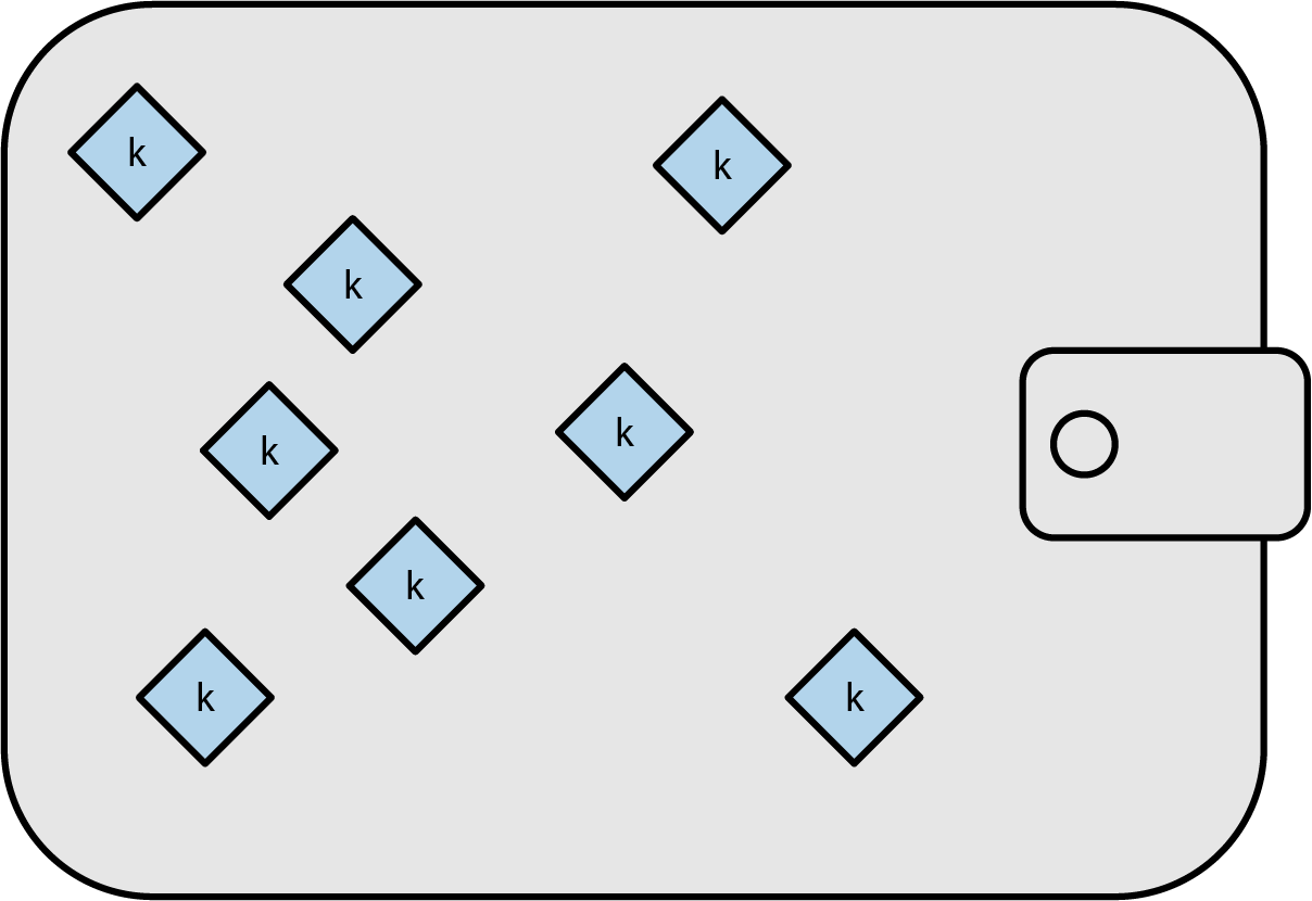 Early non-deterministic Bitcoin wallet