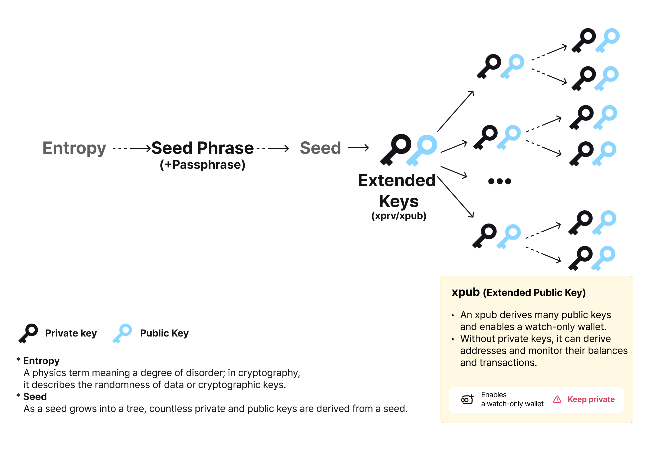 Relationship between a mnemonic phrase, private keys, and public keys