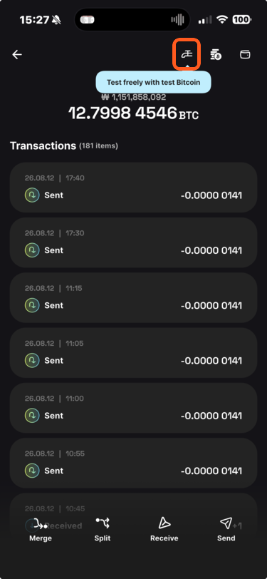 Wallet details with the Faucet button