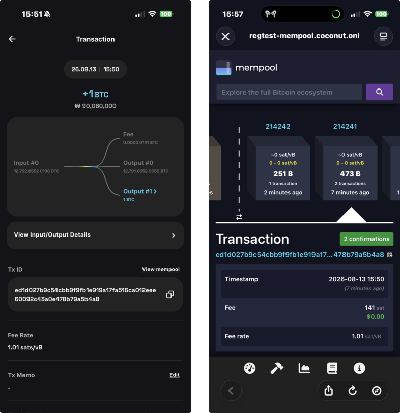 Transaction details and View in Mempool button