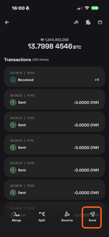 Send button in wallet details