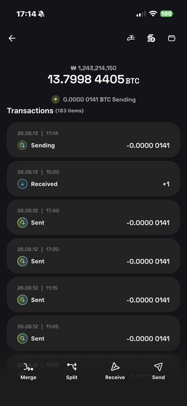 Submitted transaction in wallet history