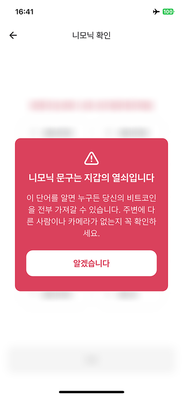 생성된 니모닉 문구 확인 화면